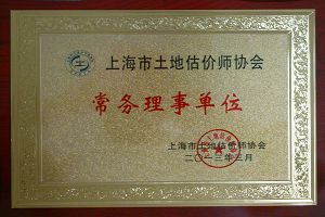 上海市土地估价师协会常务理事单位 